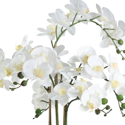 Eglo - Sztuczna roślina w doniczce 65x50 cm orchidea