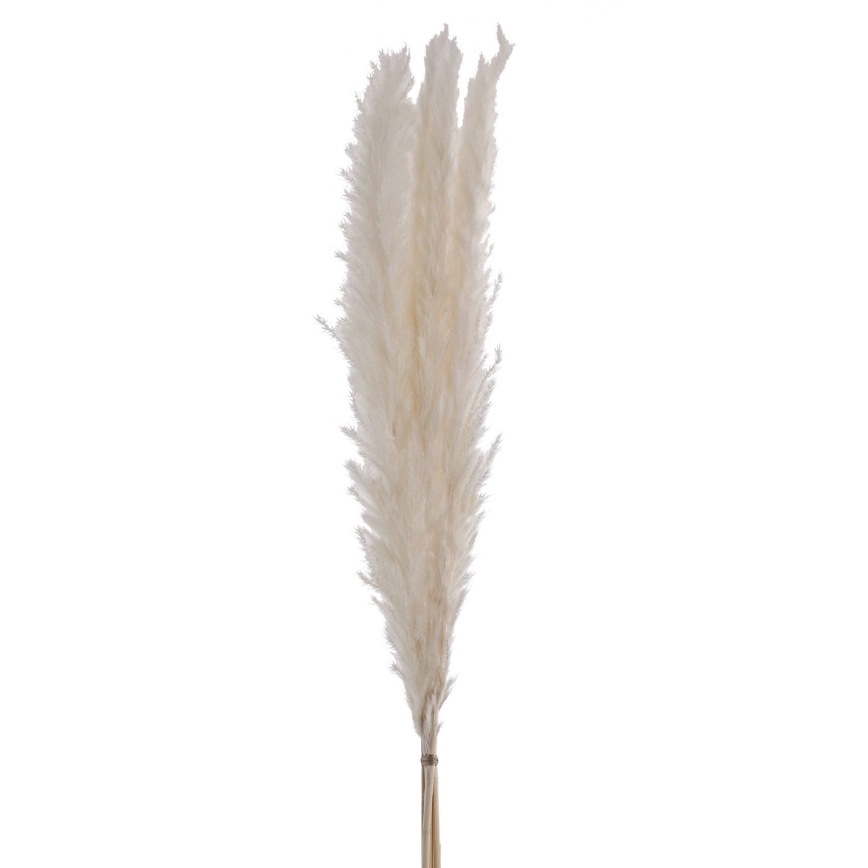 Eglo - Suszony bukiet 70 cm biały