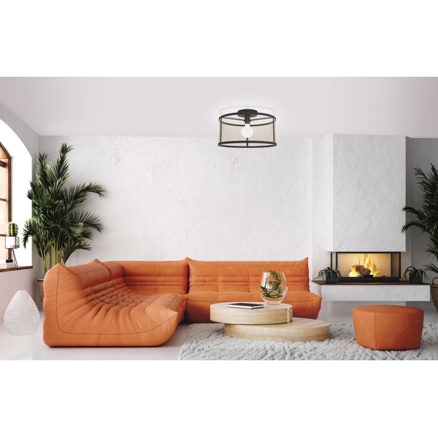 Eglo - Plafoniera natynkowa 1xE27/40W/230V