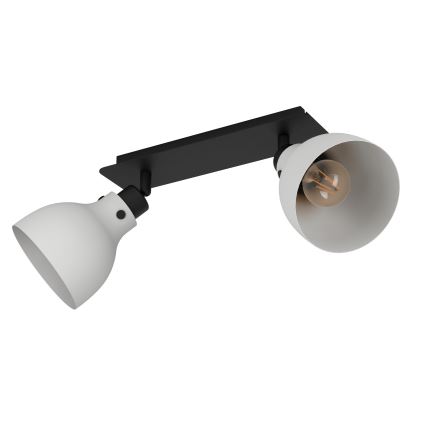 Eglo 43828 - Oświetlenie punktowe MATLOCK 2xE27/40W/230V