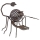 EGLO 47537 - Lampa solarna skorpion 1xLED/0,06W brązowy