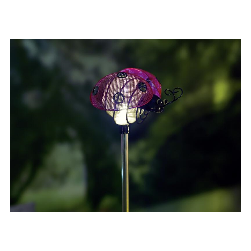 EGLO 47735 - Solární lampa beruška 1xLED/0,04W červená/černá