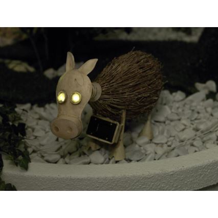 EGLO 47785 - Solární svítidlo 2xLED/0,06W