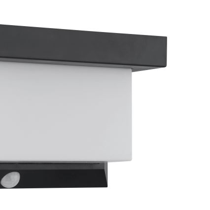 Eglo - LED Solarna lampa ścienna z czujnikiem LED/3,84W/3,7V 2000 mAh IP44