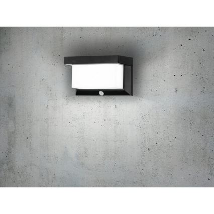 Eglo - LED Solarna lampa ścienna z czujnikiem LED/3,84W/3,7V 2000 mAh IP44