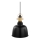 Eglo 49839 - Lampa wisząca GILWELL 1xE27/60W