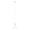 Eglo 62264 - Lampa wisząca na przewodzie PASCOA PRO 1xE27/60W/230V 16,8 cm biała