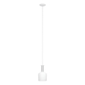Eglo 62265 - Żyrandol na lince PASCOA PRO 1xE27/60W/230V 15,6 cm biały
