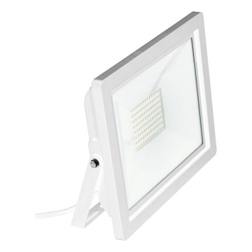 Eglo 64862 - LED Naświetlacz FILETTI LED/20W/230V 4000K IP65 biały