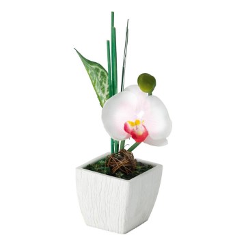 Eglo 75154 - LED Lampa stołowa ORCHIDEE LED/4,5V Eglo 75154 - LED Lampa stołowa ORCHIDEE LED/4,5V