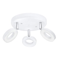Eglo 75203 - reflektor LED ODERZO 3xLED / 3,8W / 230V