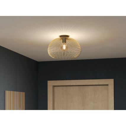 Eglo - Lampa sufitowa 1xE27/40W/230V