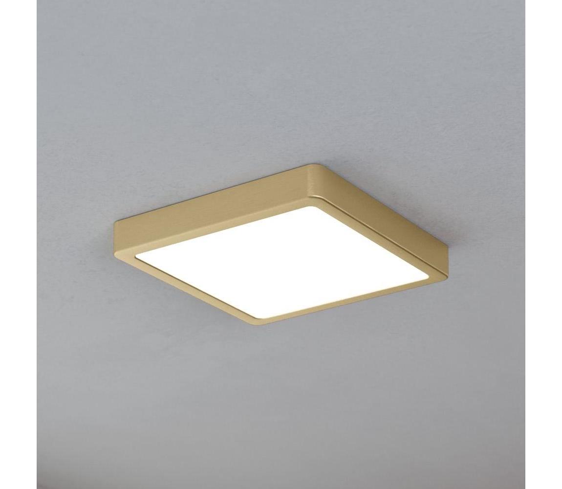 Eglo 900183 - LED Plafon FUEVA LED/17W/230V