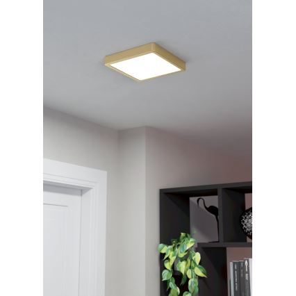 Eglo - LED Plafon LED/17W/230V