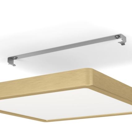 Eglo - LED Plafon LED/20,5W/230V