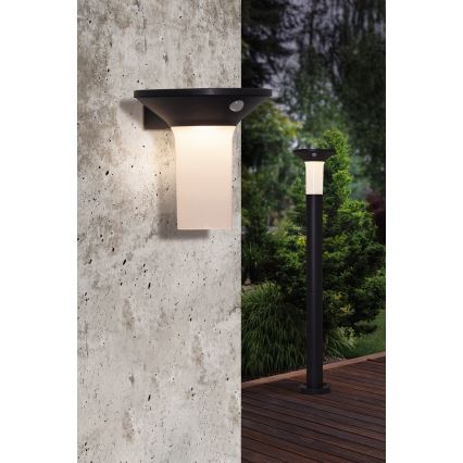 Eglo - LED zewnętrzna lampa solarna z czujnikiem 6xLED/0,03W/3,7V IP44