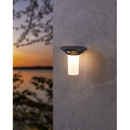 Eglo - LED zewnętrzna lampa solarna z czujnikiem 6xLED/0,03W/3,7V IP44