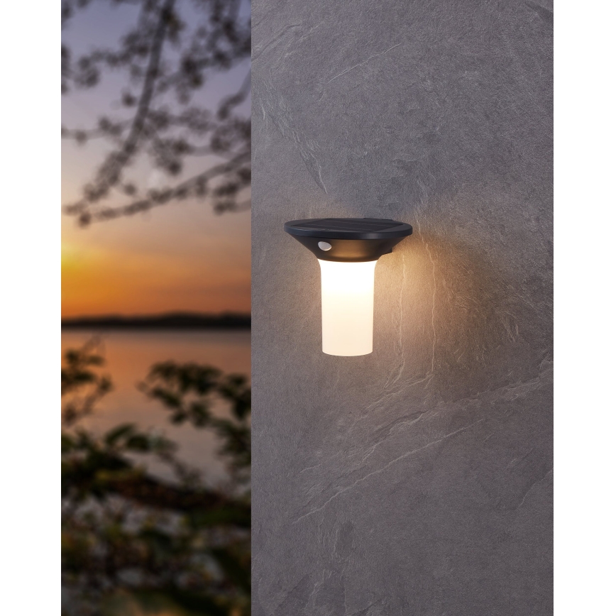 Eglo - LED zewnętrzna lampa solarna z czujnikiem 6xLED/0,03W/3,7V IP44