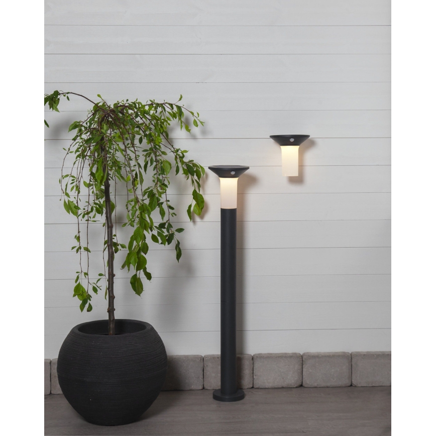 Eglo - LED zewnętrzna lampa solarna z czujnikiem 6xLED/0,03W/3,7V IP44
