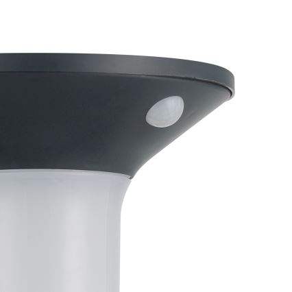 Eglo - LED zewnętrzna lampa solarna z czujnikiem 6xLED/0,03W/3,7V IP44