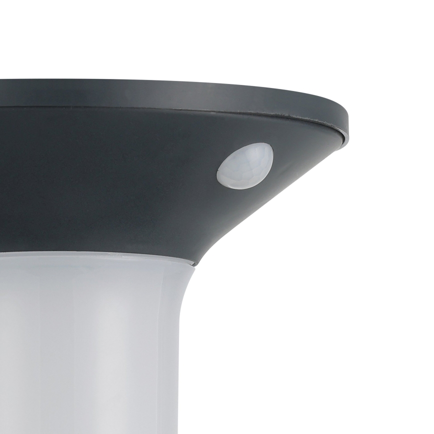 Eglo - LED zewnętrzna lampa solarna z czujnikiem 6xLED/0,03W/3,7V IP44