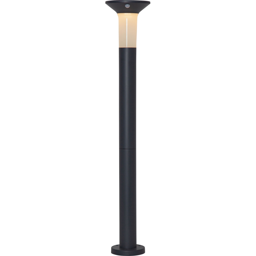 Eglo - LED Lampa solarna zewnętrzna z czujnikiem 6xLED/0,03W/3,7V IP44