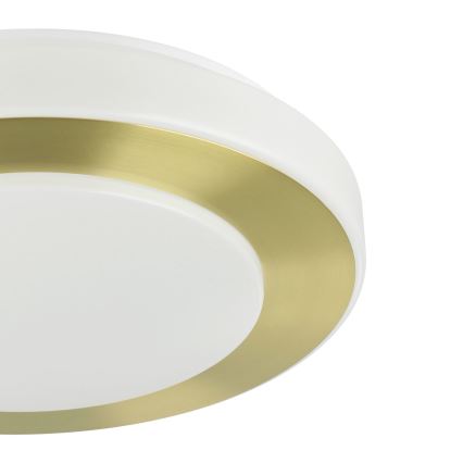 Eglo - LED Plafon łazienkowy LED/10,8W/230V IP44