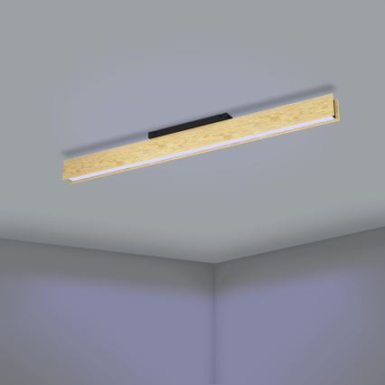 Eglo - Ściemnialna lampa sufitowa RGBW LED/35W/230V 2700-6500K