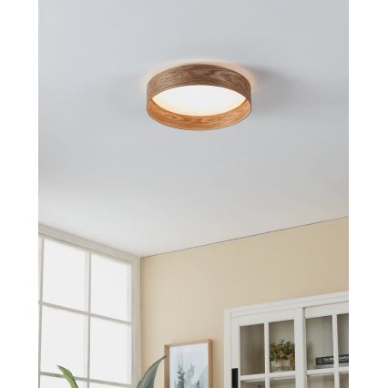 Eglo - LED Plafon LED/24W/230V