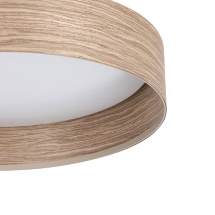 Eglo - LED Plafon LED/24W/230V