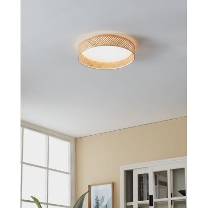 Eglo - LED Plafon LED/24W/230V