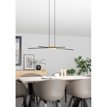 Eglo - LED Żyrandol ściemnialny na lince 2xLED/13W/230V