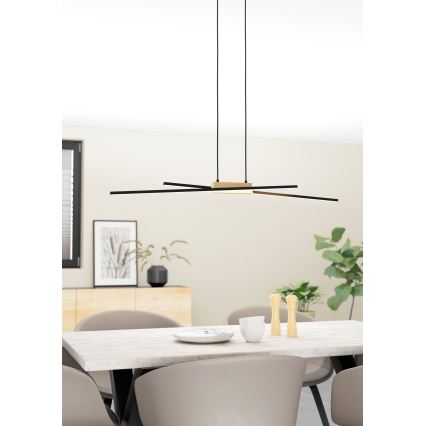 Eglo - LED Żyrandol ściemnialny na lince 2xLED/13W/230V