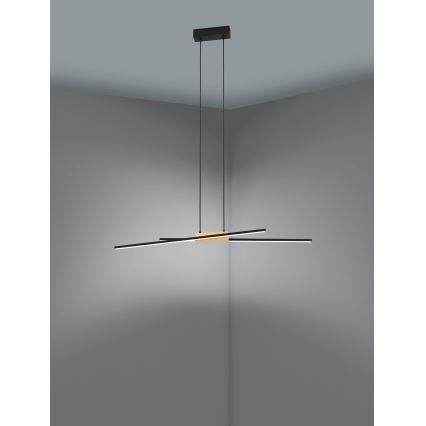 Eglo - LED Żyrandol ściemnialny na lince 2xLED/13W/230V
