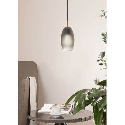 Eglo - Żyrandol na lince 1xE27/40W/230V