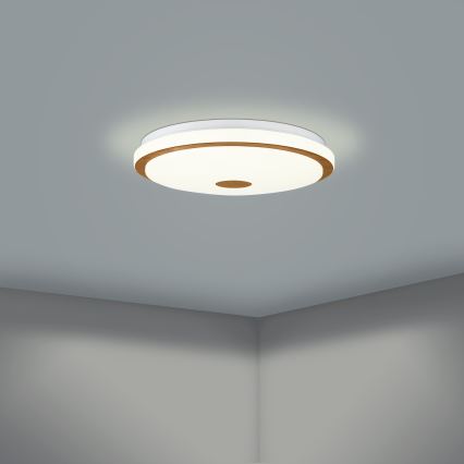 Eglo - LED Ściemnialny plafon LED/24W/230V + pilot