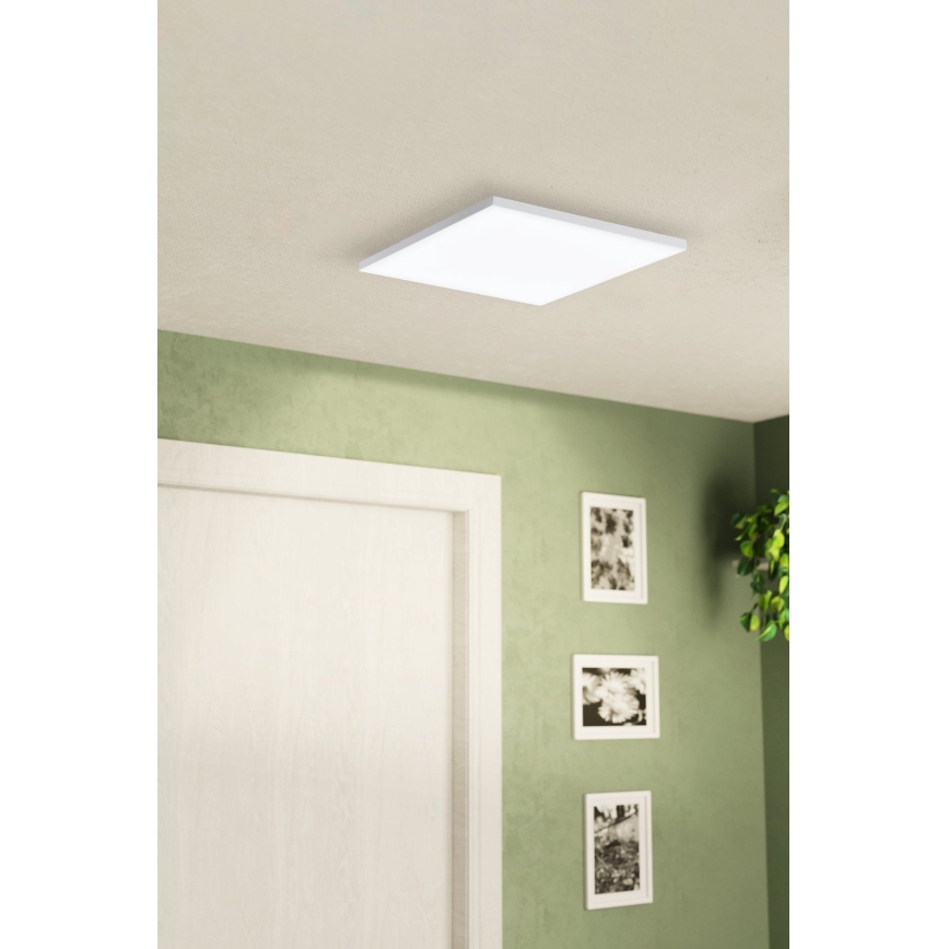 Eglo - LED Lampa sufitowa LED/10,8W/230V