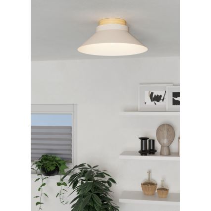 Eglo - Lampa sufitowa 1xE27/40W/230V