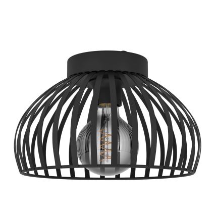 Eglo - Lampa sufitowa 1xE27/40W/230V śr. 28 cm