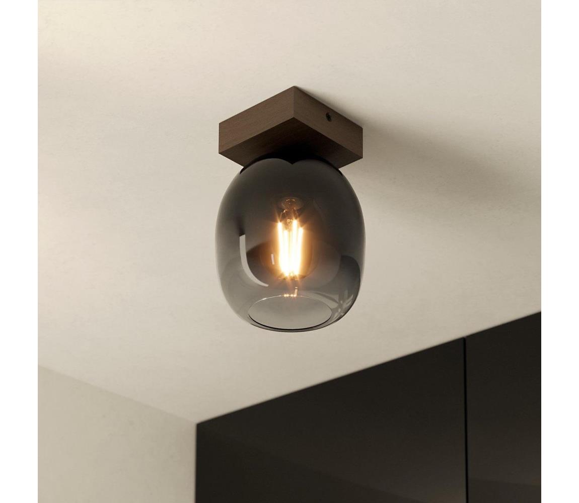 Eglo 900825 - Lampa sufitowa FILAGO 1xE27/40W/230V