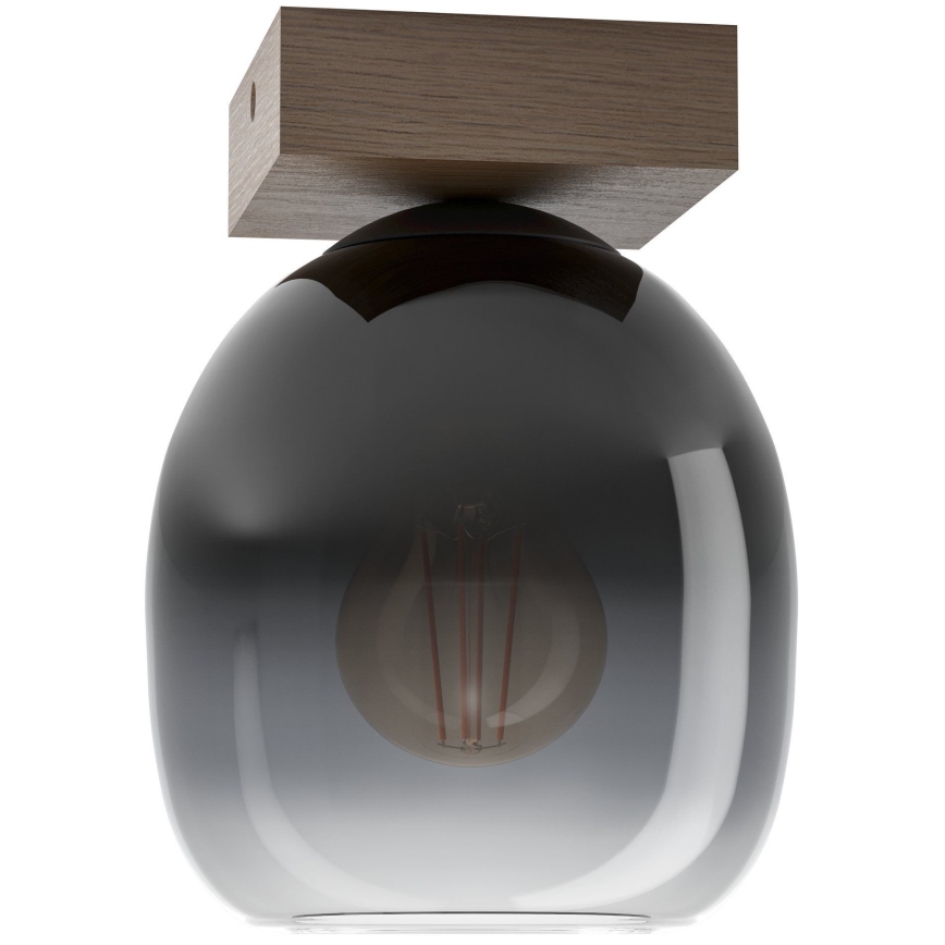 Eglo - Lampa sufitowa 1xE27/40W/230V