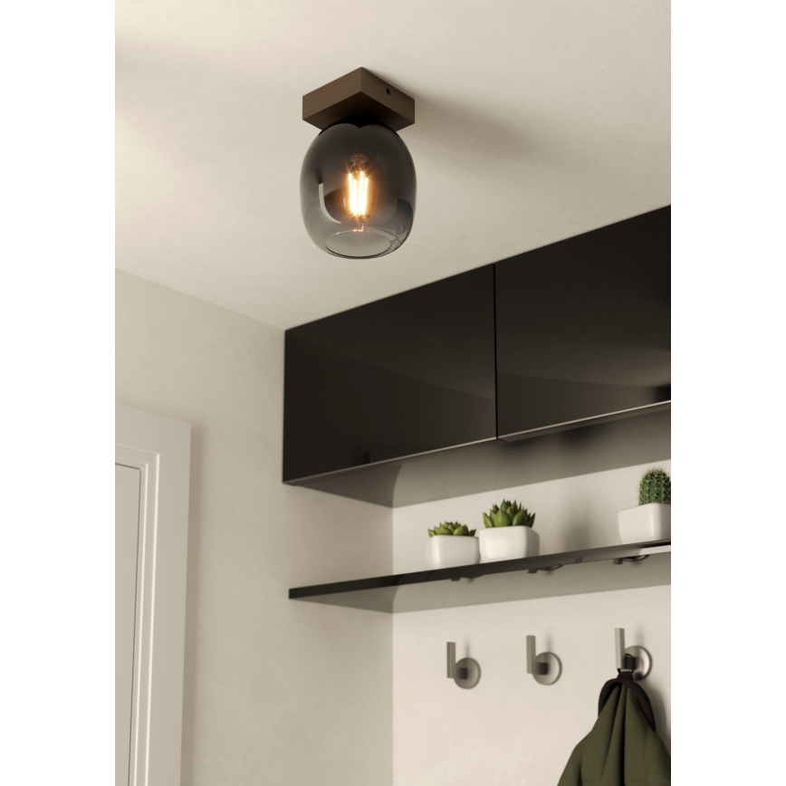 Eglo - Lampa sufitowa 1xE27/40W/230V