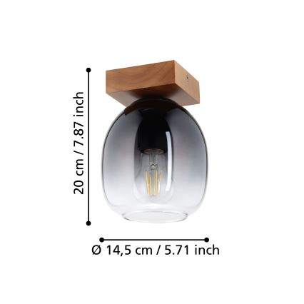 Eglo - Lampa sufitowa 1xE27/40W/230V