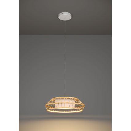 Eglo - LED RGBW Ściemnialny żyrandol na lince LED/22W/230V 2700-6500K