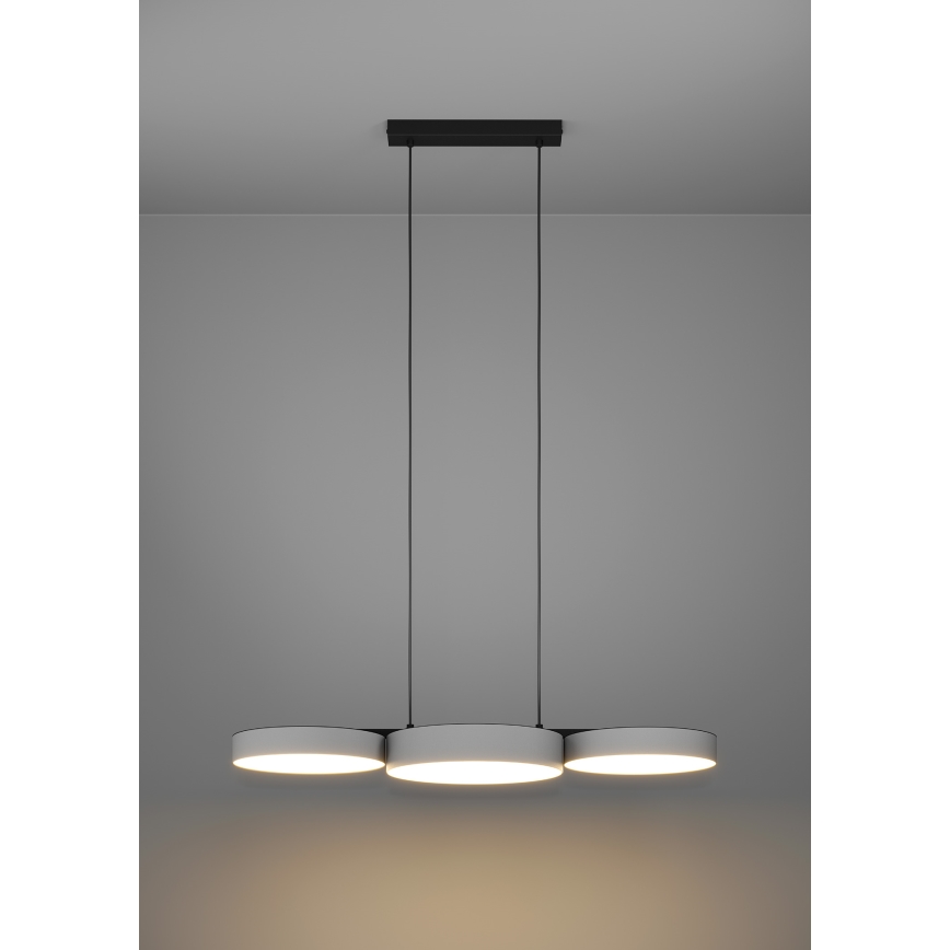 Eglo - LED RGBW Ściemnialny żyrandol na lince 3xLED/7,5W/230V 2700-6500K szary