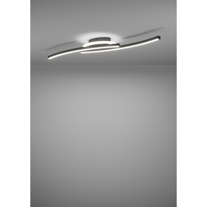 Eglo - LED Plafon LED/12W/230V 4000K czarne