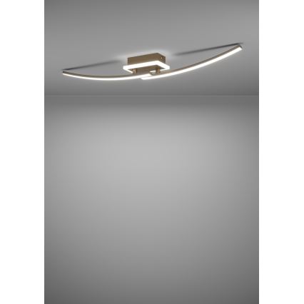 Eglo - LED Plafon LED/12W/230V 4000K miedź