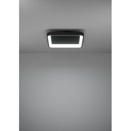 Eglo - LED Plafon ściemnialny LED/12W/230V 2700-6500K czarny + pilot zdalnego sterowania