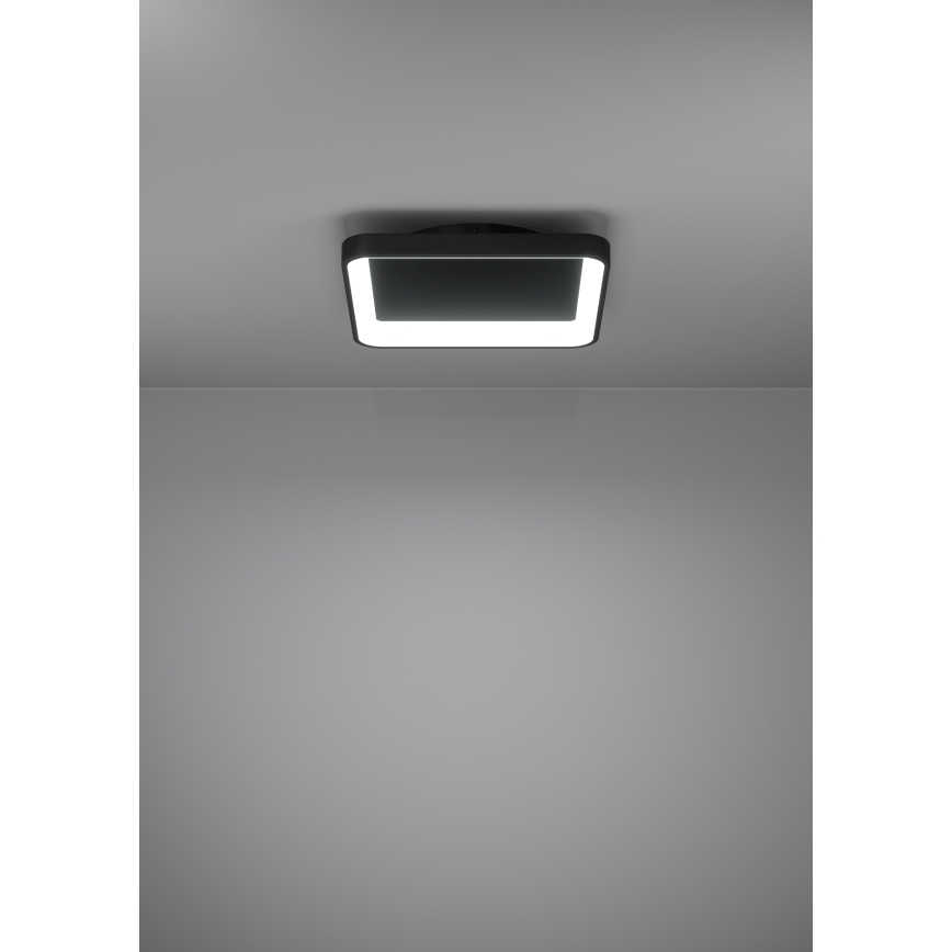 Eglo - LED Plafon ściemnialny LED/12W/230V 2700-6500K czarny + pilot zdalnego sterowania