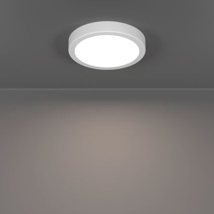 Eglo - Lampa sufitowa LED, 7,5 W, 230 V, 2700/4000/6500 K, śr. 16,6 cm, biała